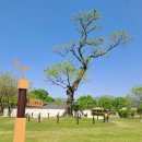 초시토속식당 | 충남예산 수덕사와 덕숭산을 오른 후 서산 해미읍성까지