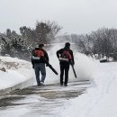 공설묘지 이미지