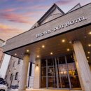 브라운도트1 이미지