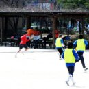 서울대청초등학교 이미지