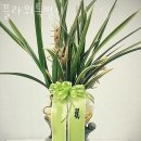 플라워특별시