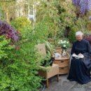 자연속의 펫 이미지