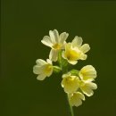 동국마음요양병원 이미지