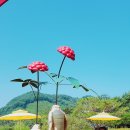 1등 석사경희대태권도장 이미지