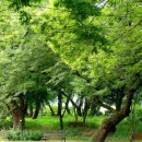 영화황토민박 이미지