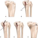날으는 동물병원 이미지