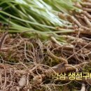 모자생선구이 네이버블로그