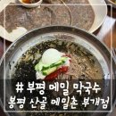 봉평산골메밀촌 | # - 부평 메밀 막국수, 봉평 산골 메밀촌 부개점 방문 후기(메밀전, 주차, 웨이팅)