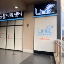 치유동물의료센터 | [고양 삼송] 삼송역 24시 라인동물의료센터 동물병원 후기ㅣ강아지 건강검진 그린벳 스케일링 중대형견...