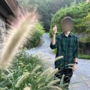33동 | 제천 포레스트 리솜 G40 33동 3호 후기 l 숲캉스🌳l 체크인 꿀팁 대방출