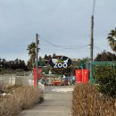 복실농장 | [제주::파더스가든] 2월 초 방문, 동백과 포토존 가득했던 서귀포 가볼만한 곳