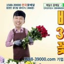 일오팔팔 이미지