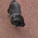 봉북회관 이미지