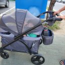 조코라인 이미지