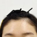 미스터고 인형뽑기 전문샵 | 광주 북구 일곡동 왁싱 눈썹 헤어라인 이마 '드오브왁싱&amp;뷰티' 후기