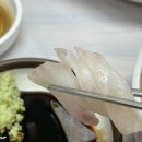 덕성횟집 - 창원시 마산합포구 어시장3길 20 | [창원 마산 맛집] 덕성횟집 내돈내산 후기 쫀뜩, 신선, 찰기 가득한 회 맛집에 극강의 꼬소함 우럭구이...