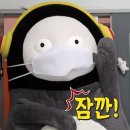 틱톡PC방 이미지