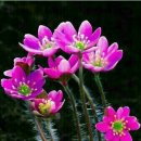 하운암 민원중계소 이미지