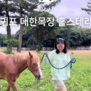 다혜목장 네이버블로그