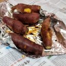 봉평 물소리펜션 이미지