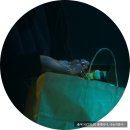 [발레리나] 다소 자극적인 장면이 포함되어 있습니다. #Netflix