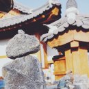 [충청도여행] 충남 공주 여행 가볼만한곳 전통문화체험과 숙소를 한번에 공주한옥마을