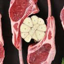 가평아름마루독채애견펜션 이미지