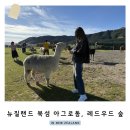 생골촌사슴타조농장 | 뉴질랜드 북섬 가볼만한 곳 농장체험 아그로돔, 레드우드 숲 투어