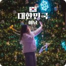 해남군-12 | 해남 가볼만한곳 전남 여행 12월 놀거리 산이정원 야간개장