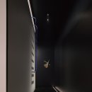 씨레이지 이미지