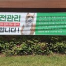 행복하 개 이미지