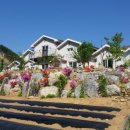 별품은 강 이미지