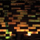 야자수하우스 이미지