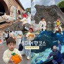 에코퓨리 | 제주여행 아이랑 제주도 가볼만한곳 여행 코스 총정리 가족여행