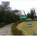 태림조경 Daum카페