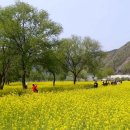 옥천동이로 이미지