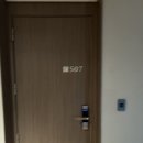 pet 50거0352 | 진도 솔비치 Pet friendly 파셜오션뷰 조식 후기