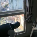 산호동103 이미지