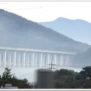 충주호 종댕이 Daum카페