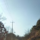 풍금한정식 이미지