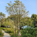 스타벅스기장임랑점 | 부산 기장 오션뷰 카페 추천 스타벅스 기장임랑원점 솔직 방문후기