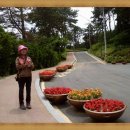 사라수변공원입구 이미지