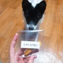 평생함개 이미지