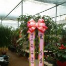 수빈꽃조경