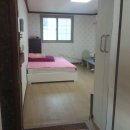 완월동245 이미지