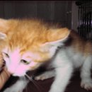 인왕유치원 이미지