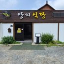[경주 여행] 황리단길 한옥 감성 카페 '스컹크웍스' 아이스크림 라떼 솔직 후기