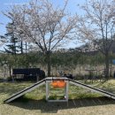 프렌즈 애견 이미지