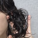 아쿠아헤어샵(주)나르시피아 | 여자 헤어에센스 추천 블라세아 아르간오일 손상모 볼륨 수분 산뜻한 사용감
