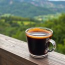 커피체리 이미지